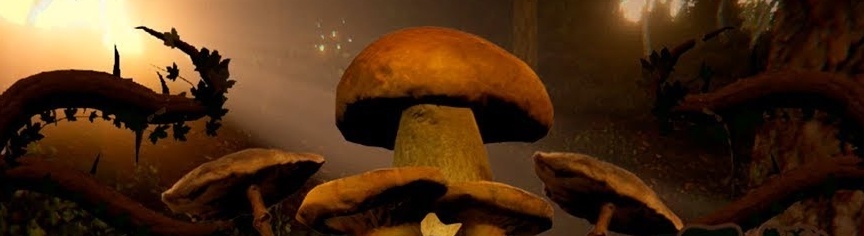 Дата выхода Mushrooms: Forest Walker  на PC в России и во всем мире