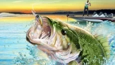 Bass Pro Shops: The Strike - дата выхода для Wii