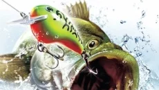 Rapala Pro Bass Fishing - дата выхода для Nintendo DS