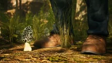 Morels: The Hunt - дата выхода для PC