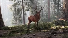 Wild Side