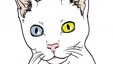 Cat Simulator - дата выхода