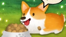 Animal Forest: Fuzzy Seasons - дата выхода для iOS