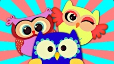Crazy Owls Puzzle - дата выхода на Android 