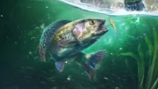 Ultimate Fishing Simulator 2 - дата выхода для PlayStation 5