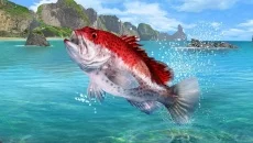 Fishing Clash - игра в жанре Бесплатная игра