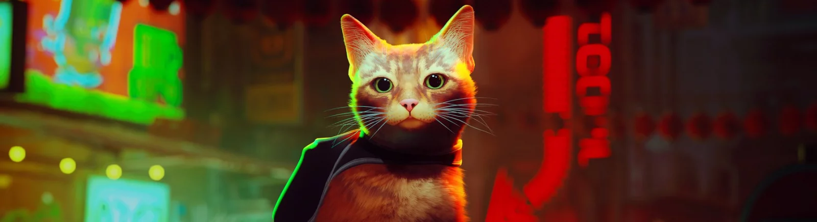 Stray — Все пройдено на 100 процентов / Сохранения / Читы