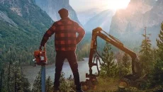Lumberjack's Dynasty - дата выхода для Xbox