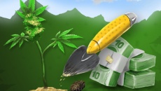 Cannabis Farmer Strain Master - дата выхода 