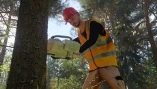 Forester Simulator - дата выхода для Windows 3.x