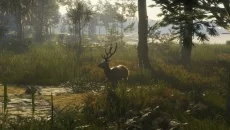 theHunter: Call of the Wild - Te Awaroa National Park - дата выхода