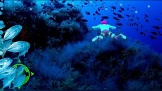 LEGO Batman 3: Beyond Gotham похожа на LEGO Batman 3: Beyond Gotham