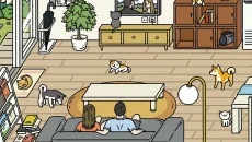 Adorable Home