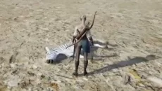 Survival In Africa - дата выхода для PC