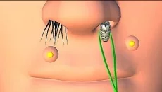 Face Clinic - игра в жанре Симулятор