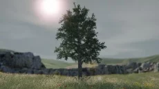 Tree Simulator 2020 - дата выхода для Windows 3.x