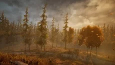 Wandering Wolf - дата выхода для Windows 3.x