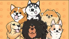 Lucky Puppy - игра в жанре Аркада