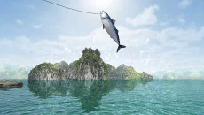 Ace of Seafood похожа на Ace of Seafood