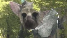 Last Guardian