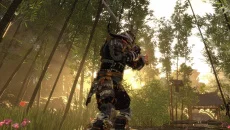 Shadow the Ronin: The Revenge - дата выхода для PlayStation 5