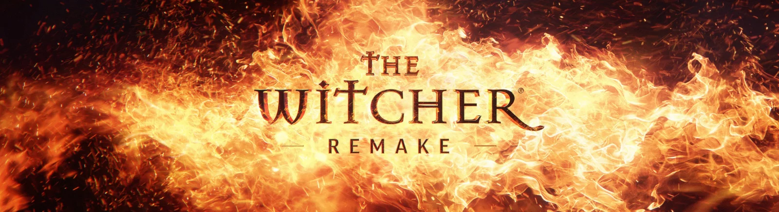 Все отзывы и оценки The Witcher Remake — 3 мнения