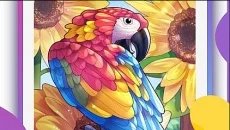 ColorMe - Painting Book - дата выхода