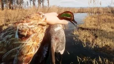 BULT: Hunting simulator - дата выхода для Windows 3.x
