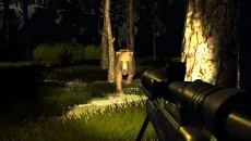 Nature is hungry - дата выхода для Windows 3.x