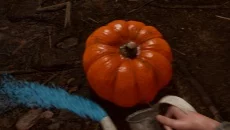 Hallowed Pumpkins - игра в жанре Онлайн