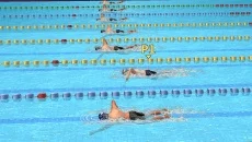 Athletics 2 Summer Sports Lite - дата выхода