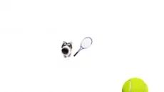 Cat Tennis - Meme Game - дата выхода для iOS