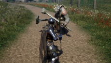 Lonely Knight