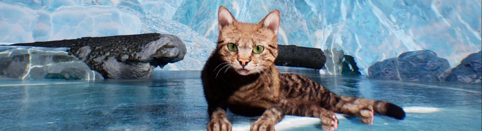 Super Cat Simulator - последние новости и слухи сегодня (август 2025) - дата выхода на ПК, системные требования, трейлер, анонс, место действия, сюжет, герои