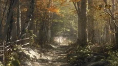 Aurora Hills: Chapter 1 - дата выхода для iOS