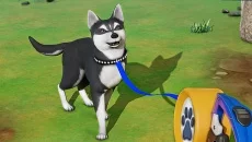 My Dog Life: Puppy Island Park - дата выхода для iOS