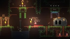 ANIMAL WELL похожа на ANIMAL WELL