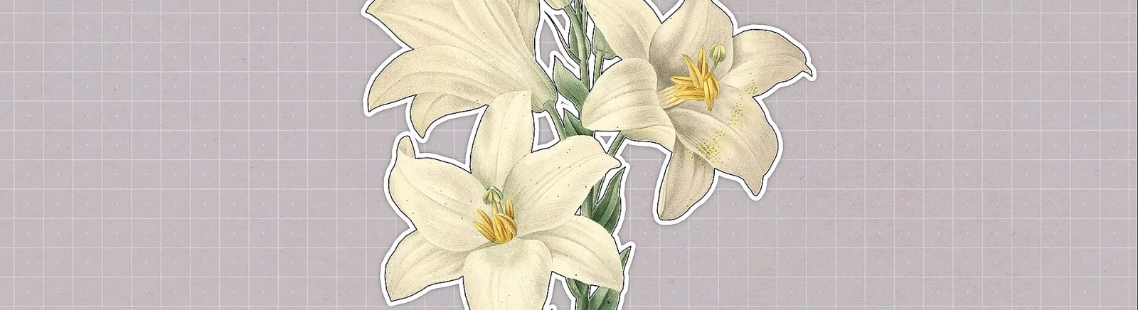 Все отзывы и оценки Plants Huddled Together — 0 мнений