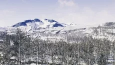 The Cold White - игра в жанре Выживание