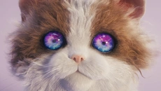 Catly - дата выхода для Nintendo Switch 2