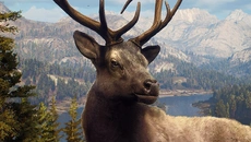 Way of the Hunter Wild America - дата выхода для iOS