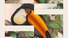 Art of Fauna: Cozy Puzzles - дата выхода для iOS