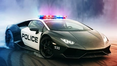OWRC Police: Chase Simulator - игра в жанре Открытый мир