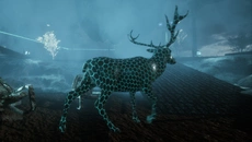 Aquaphobia - дата выхода