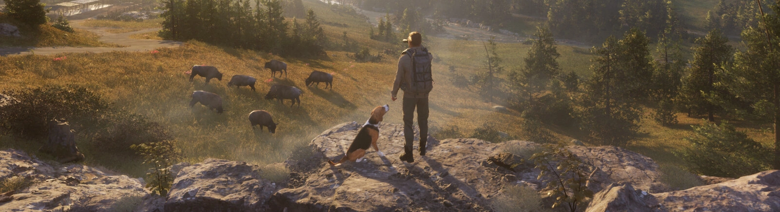 Next Hunting Adventure - последние новости и слухи сегодня (декабрь 2025) - дата выхода на ПК, системные требования, трейлер, анонс, место действия, сюжет, герои