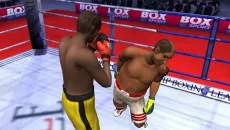 Boxing Manager - дата выхода для Windows 3.x