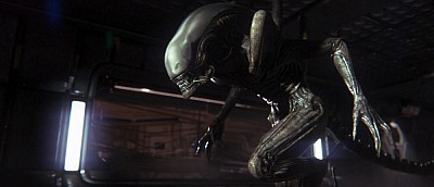 Авторы Alien: Isolation ищут дизайнера героев для своего нового шутера. В нём будут микротранзакции