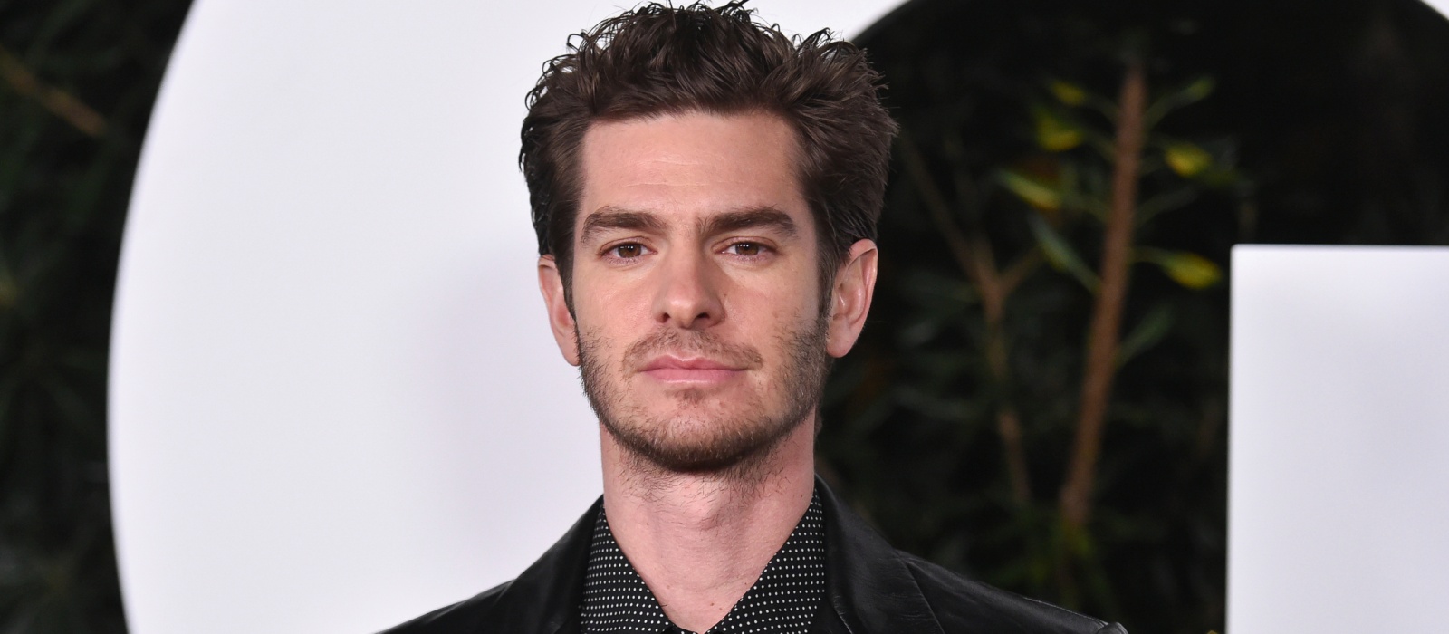 Эндрю Гарфилд (Andrew Garfield)