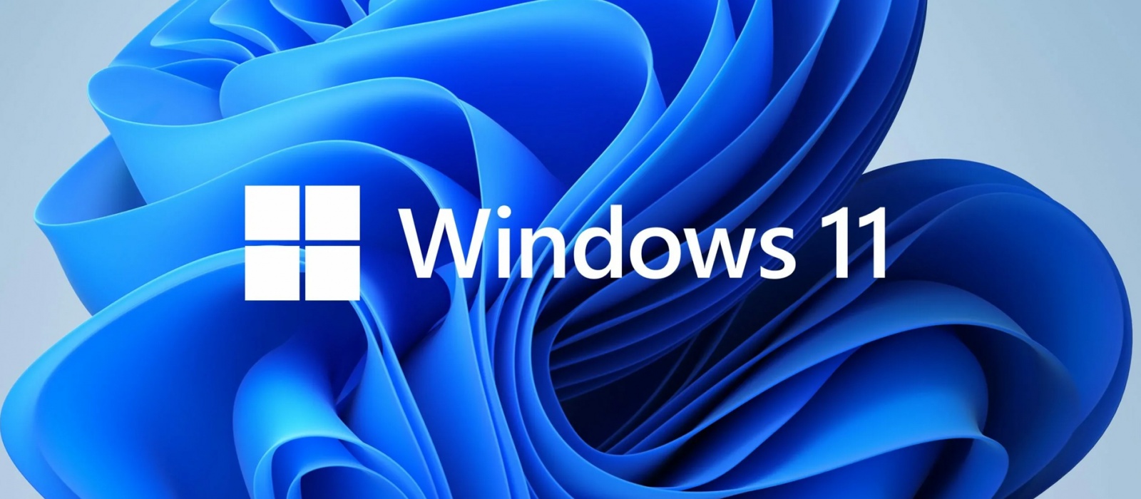 Windows 11